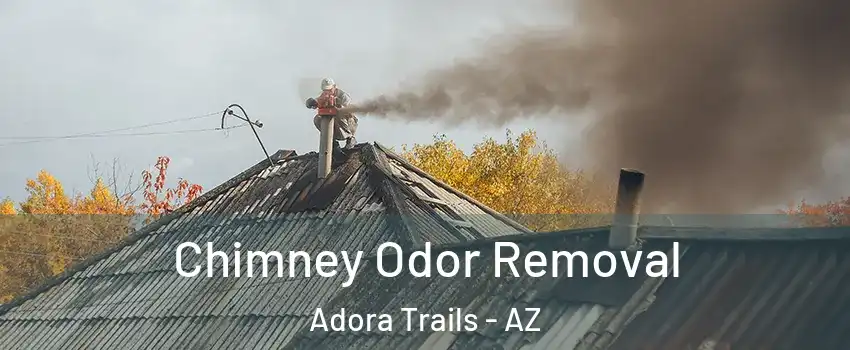 Chimney Odor Removal Adora Trails - AZ