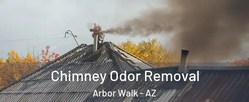 Chimney Odor Removal Arbor Walk - AZ