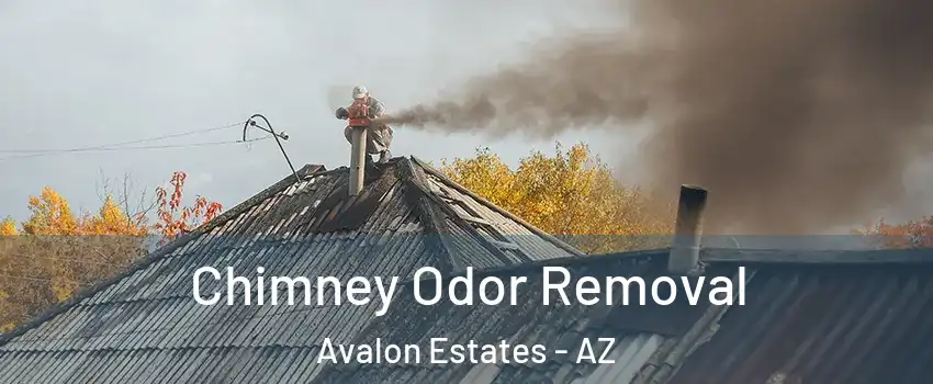 Chimney Odor Removal Avalon Estates - AZ
