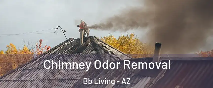 Chimney Odor Removal Bb Living - AZ