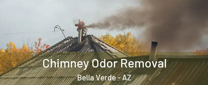 Chimney Odor Removal Bella Verde - AZ