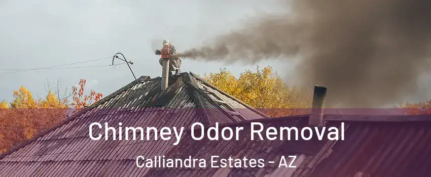 Chimney Odor Removal Calliandra Estates - AZ