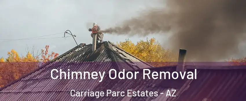 Chimney Odor Removal Carriage Parc Estates - AZ