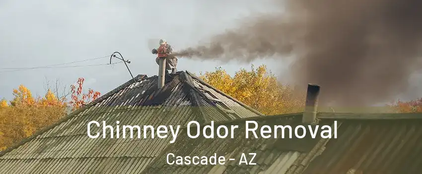 Chimney Odor Removal Cascade - AZ