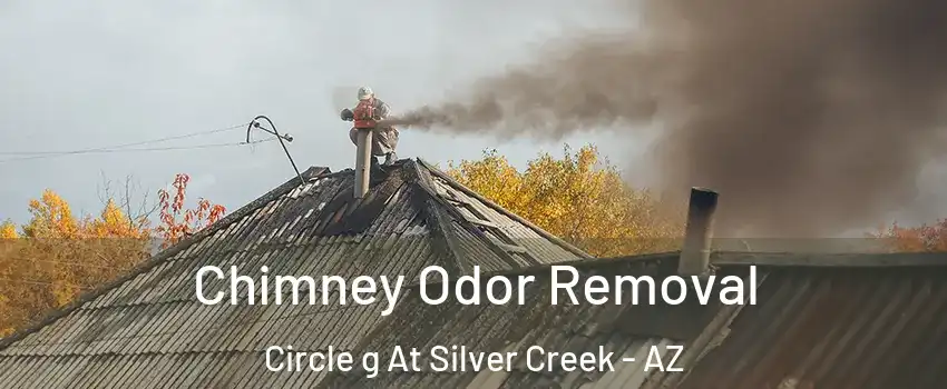 Chimney Odor Removal Circle g At Silver Creek - AZ
