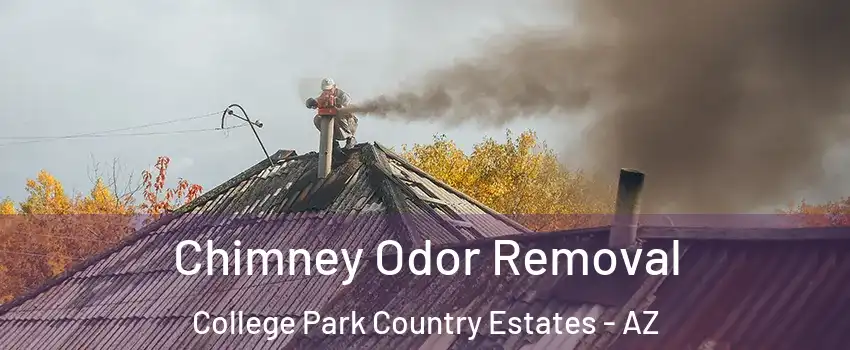 Chimney Odor Removal College Park Country Estates - AZ