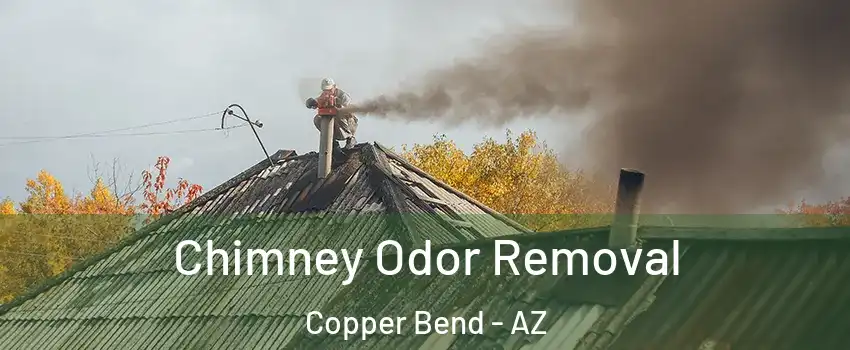 Chimney Odor Removal Copper Bend - AZ