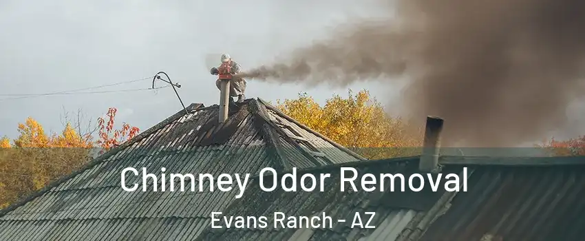 Chimney Odor Removal Evans Ranch - AZ