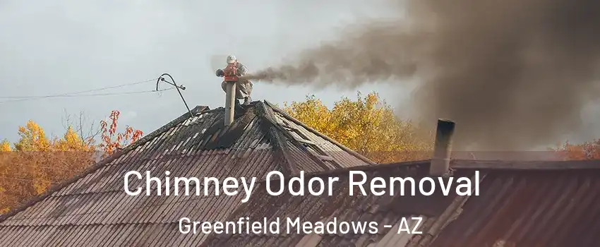 Chimney Odor Removal Greenfield Meadows - AZ