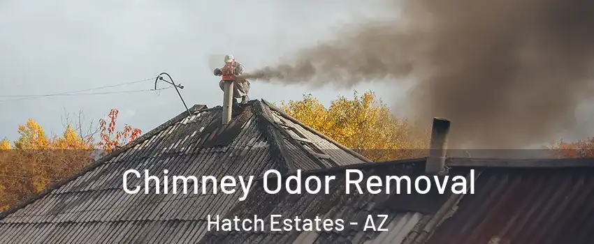 Chimney Odor Removal Hatch Estates - AZ