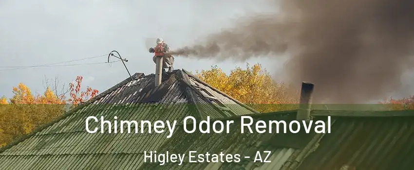 Chimney Odor Removal Higley Estates - AZ