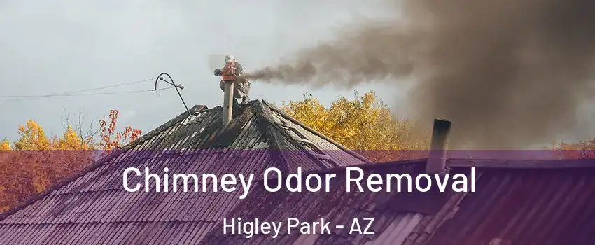 Chimney Odor Removal Higley Park - AZ