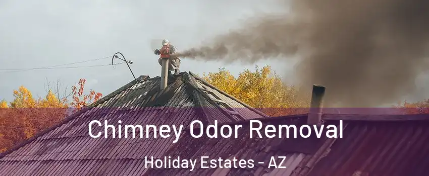 Chimney Odor Removal Holiday Estates - AZ