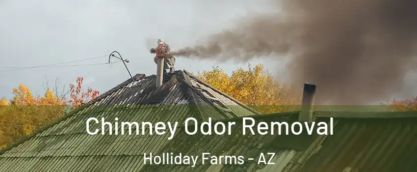 Chimney Odor Removal Holliday Farms - AZ