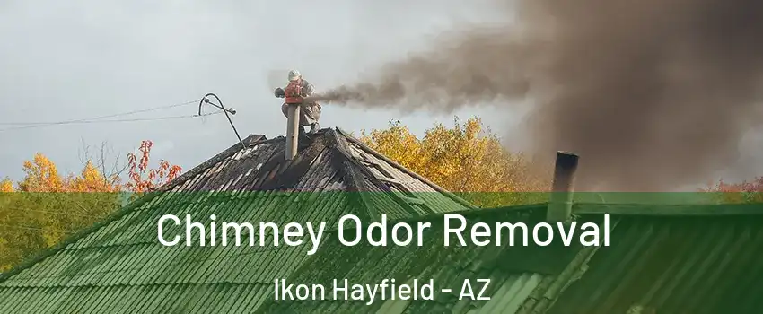 Chimney Odor Removal Ikon Hayfield - AZ