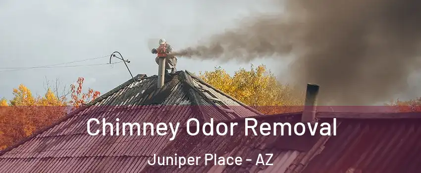 Chimney Odor Removal Juniper Place - AZ