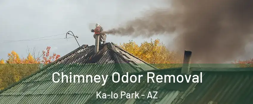 Chimney Odor Removal Ka-lo Park - AZ