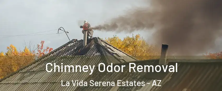 Chimney Odor Removal La Vida Serena Estates - AZ