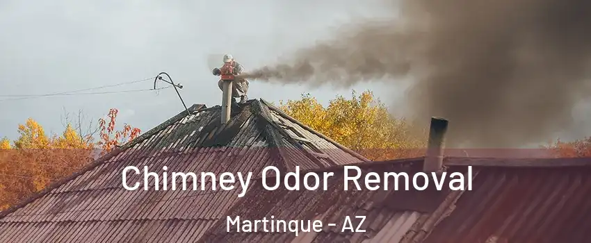 Chimney Odor Removal Martinque - AZ