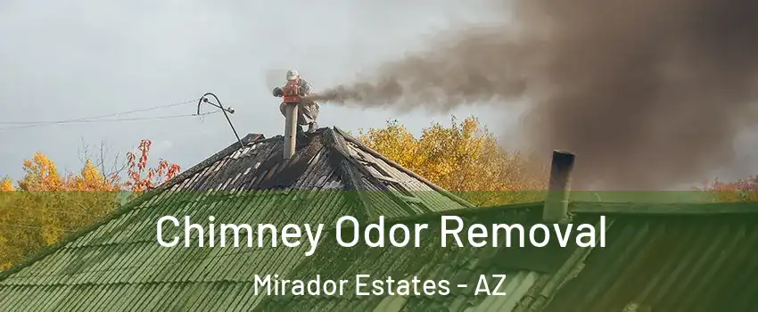 Chimney Odor Removal Mirador Estates - AZ