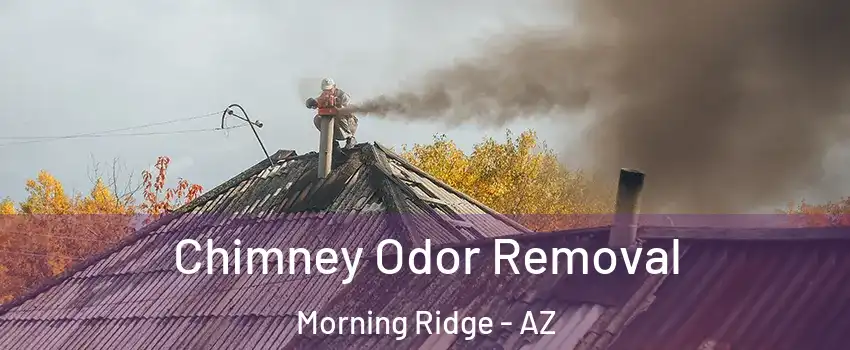 Chimney Odor Removal Morning Ridge - AZ