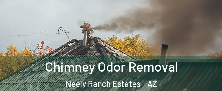 Chimney Odor Removal Neely Ranch Estates - AZ