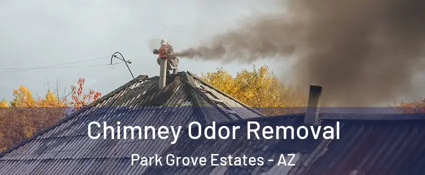 Chimney Odor Removal Park Grove Estates - AZ