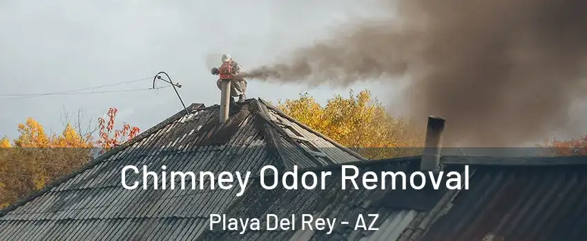 Chimney Odor Removal Playa Del Rey - AZ