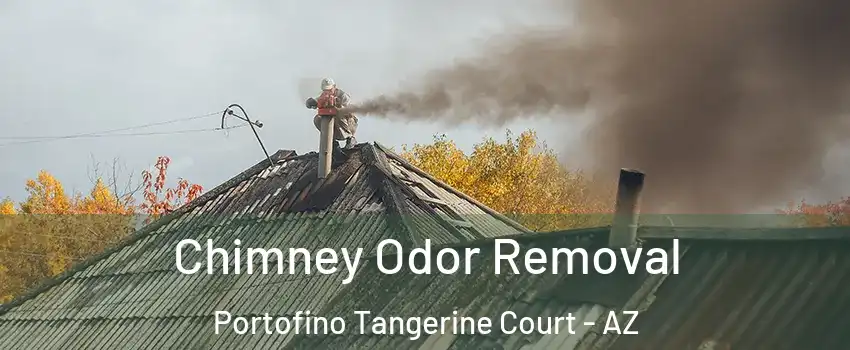 Chimney Odor Removal Portofino Tangerine Court - AZ
