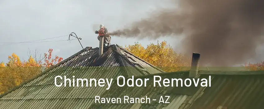 Chimney Odor Removal Raven Ranch - AZ