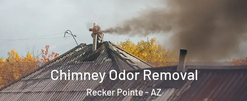 Chimney Odor Removal Recker Pointe - AZ