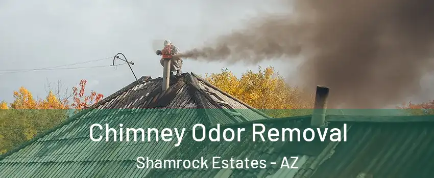 Chimney Odor Removal Shamrock Estates - AZ