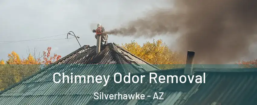 Chimney Odor Removal Silverhawke - AZ