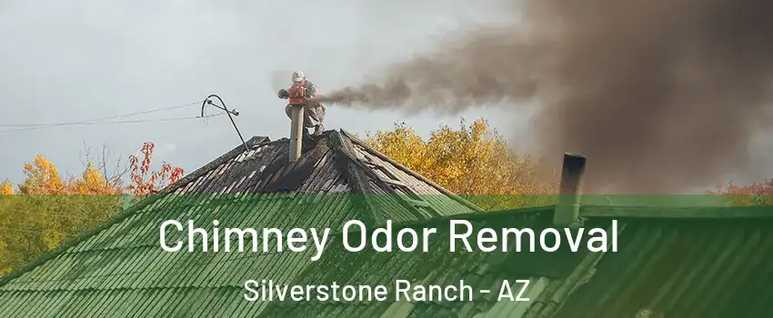 Chimney Odor Removal Silverstone Ranch - AZ