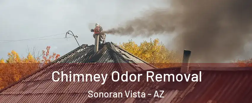 Chimney Odor Removal Sonoran Vista - AZ