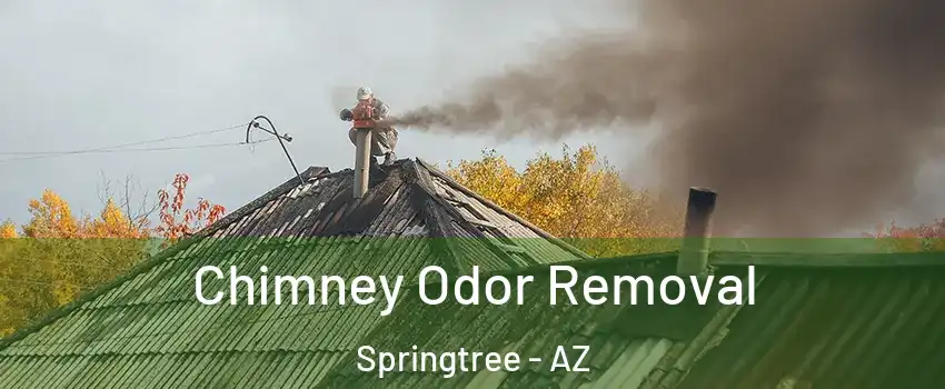 Chimney Odor Removal Springtree - AZ
