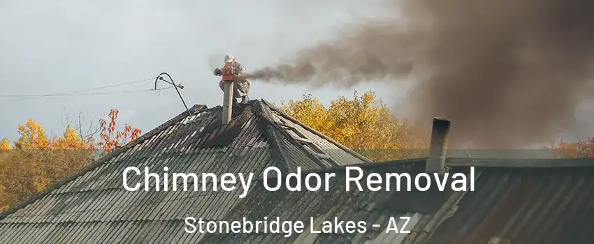 Chimney Odor Removal Stonebridge Lakes - AZ