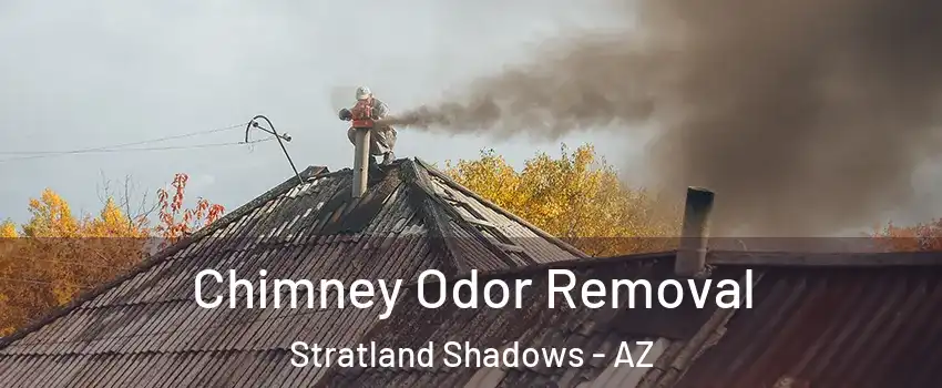 Chimney Odor Removal Stratland Shadows - AZ