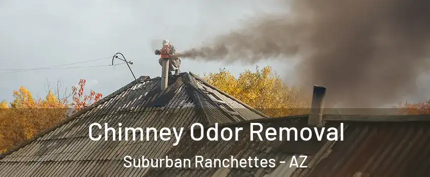 Chimney Odor Removal Suburban Ranchettes - AZ
