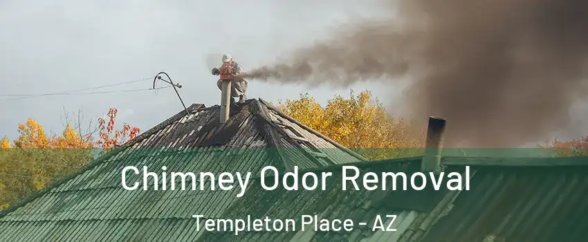 Chimney Odor Removal Templeton Place - AZ