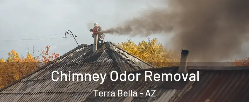 Chimney Odor Removal Terra Bella - AZ