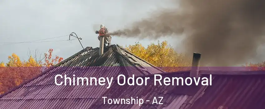 Chimney Odor Removal Township - AZ