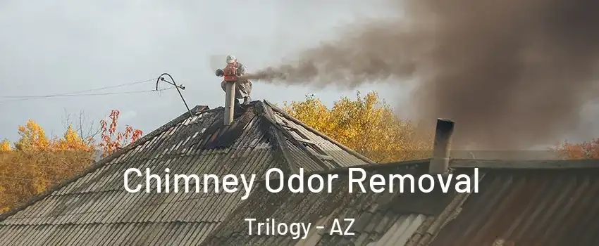 Chimney Odor Removal Trilogy - AZ