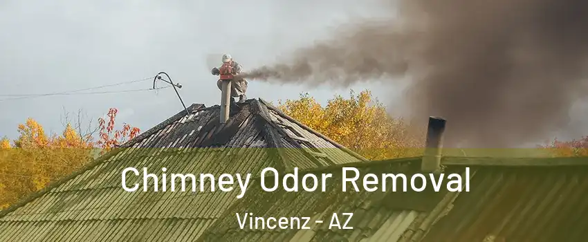 Chimney Odor Removal Vincenz - AZ