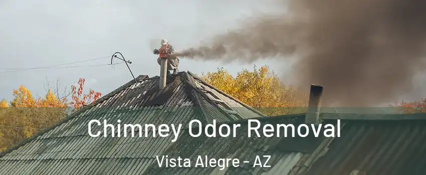 Chimney Odor Removal Vista Alegre - AZ