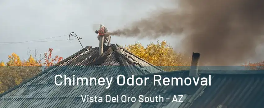 Chimney Odor Removal Vista Del Oro South - AZ