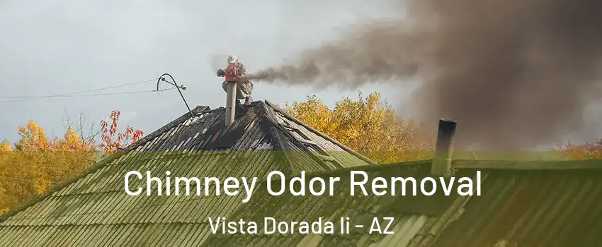 Chimney Odor Removal Vista Dorada Ii - AZ