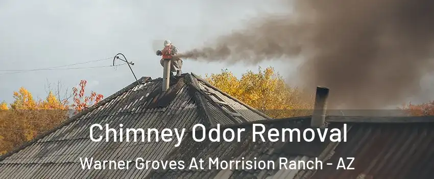Chimney Odor Removal Warner Groves At Morrision Ranch - AZ