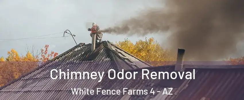 Chimney Odor Removal White Fence Farms 4 - AZ