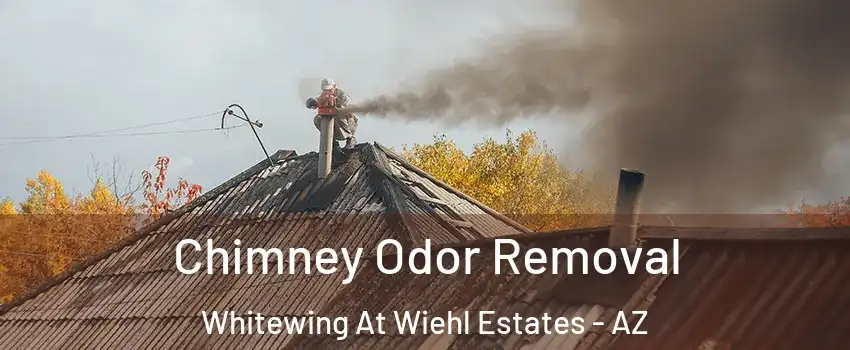 Chimney Odor Removal Whitewing At Wiehl Estates - AZ